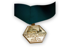 AIC Gold medal