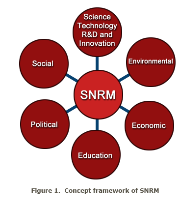 Figure 1.  Concept framework of SNRM